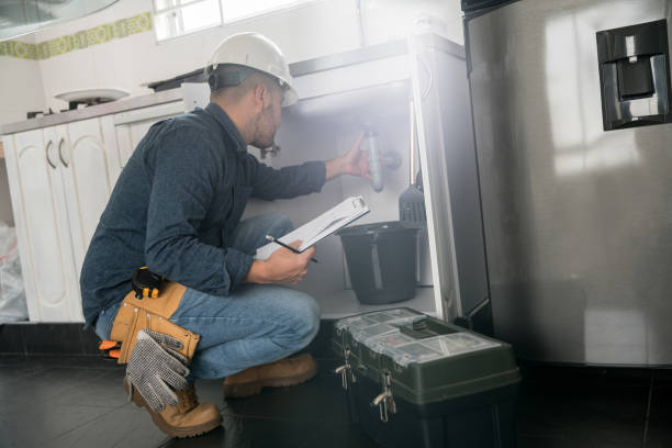 Best Local Plumber Services  in Fulton, IL