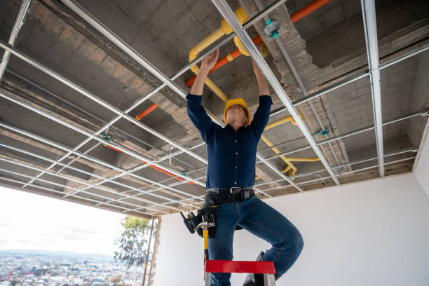 Best Residential Plumbing Services  in Fulton, IL