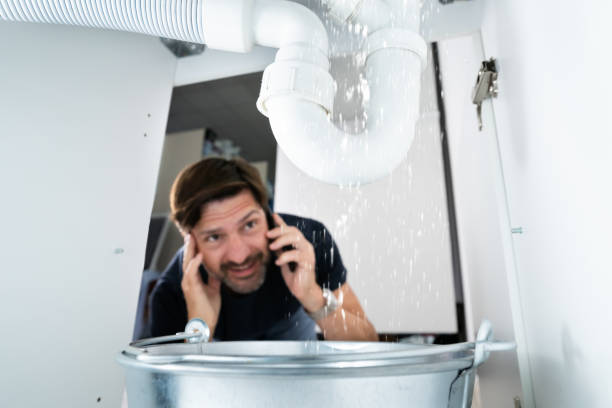 Best Commercial Plumbing Services  in Fulton, IL
