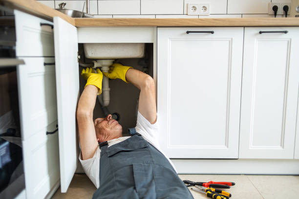 Best Leak Detection Services  in Fulton, IL