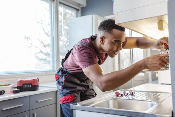 Best Clogged Drain Plumber  in Fulton, IL