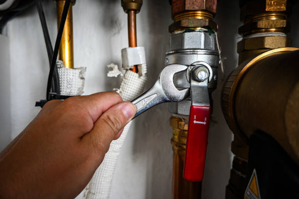 Best Emergency Plumber  in Fulton, IL